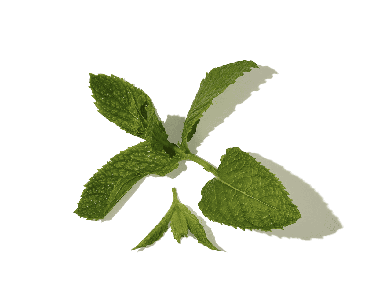 Mint